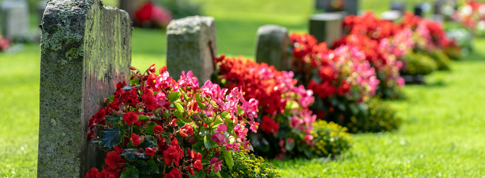 AdobeStock_220808961