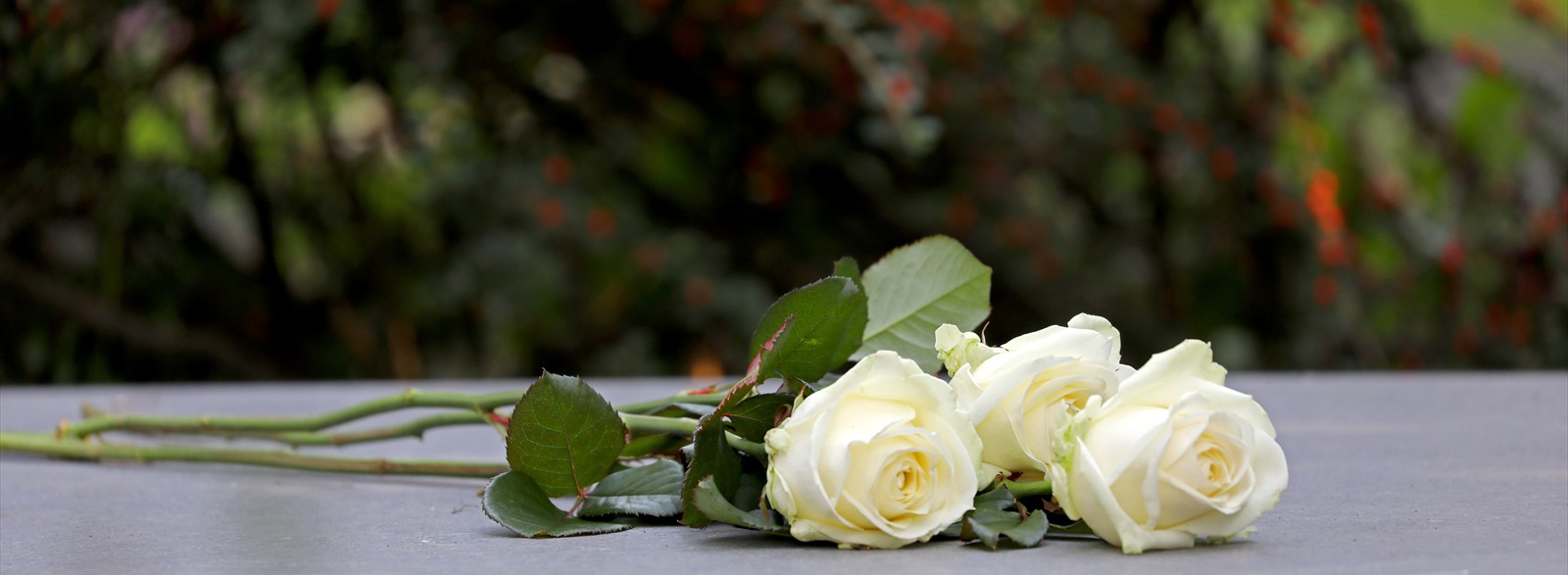 AdobeStock_250725190